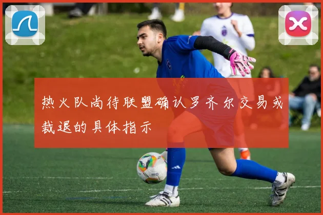 热火队尚待联盟确认罗齐尔交易或裁退的具体指示