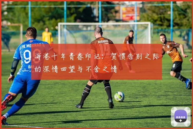 海港十年青春印记：贺惯告别之际的深情回望与不舍之情