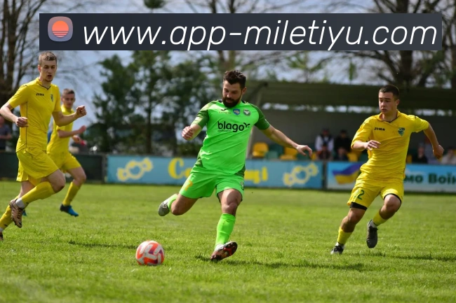 米乐体育平台生态图