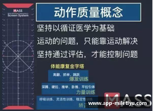 职业球员身份辨析：角色、特质与成就