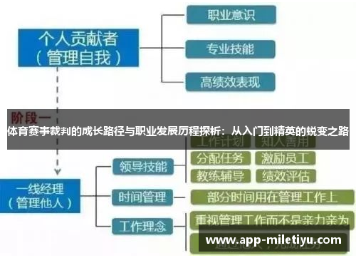 体育赛事裁判的成长路径与职业发展历程探析：从入门到精英的蜕变之路